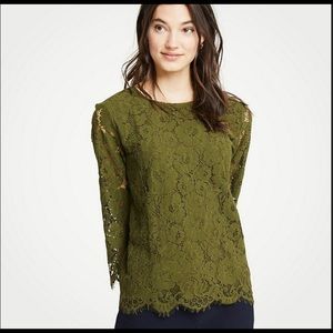 Ann Taylor Olive Green Lace 3/4 Sleeve Top Size L